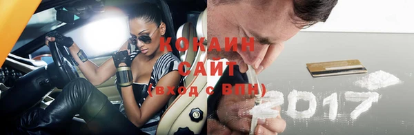 гидра Инсар