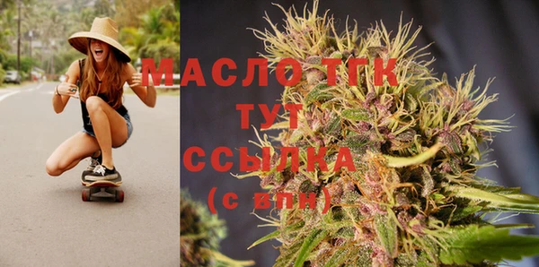 гидра Инсар
