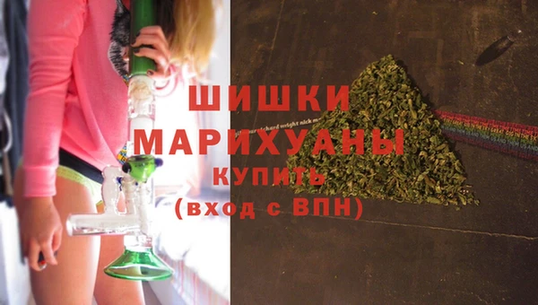 прущая мука Инта
