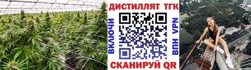 наркотики Фрязино Дистиллят ТГК вейп