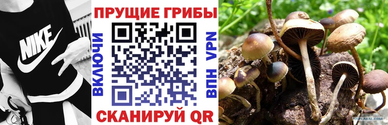 даркнет сайт  Фрязино  Галлюциногенные грибы ЛСД 
