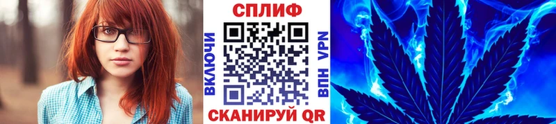 Канабис планчик  наркота  Фрязино 
